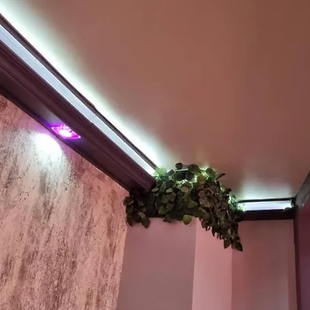 Appartement The Purple в зеленото сърце на